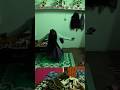 Serbian Dancing Lady के साथ होली🔥#holi #parkour #ghost #pov #shorts #viralshorts