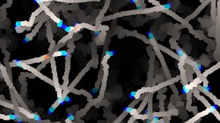 Test 002 Pixel worms