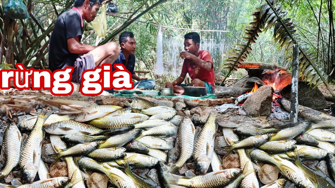 trải nghiệm rừng già, đặc sản ếch, cá, rau củ nhiều quá, nấu ăn, ngủ rừng|phúc làng tv