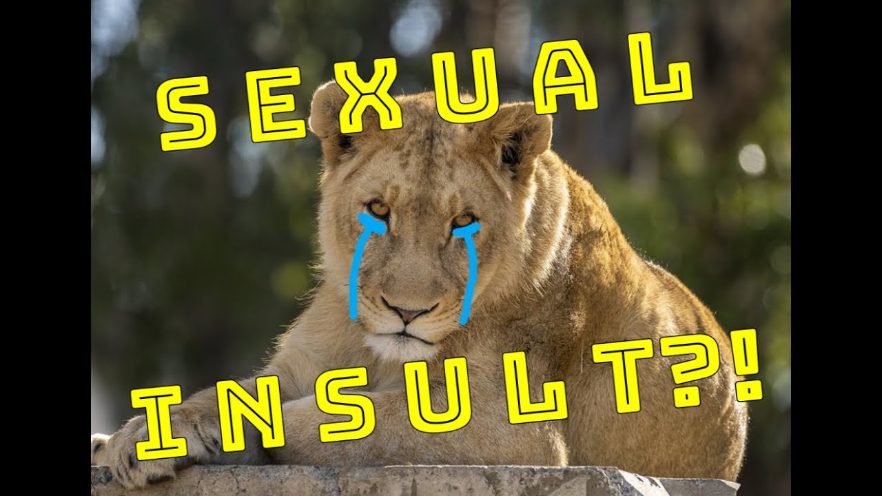 Learn Egyptian Arabic swears: Common SEXUAL insult in EGYPT