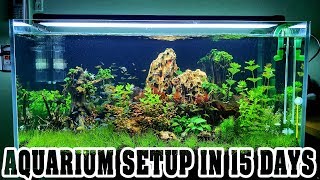 Aquarium Setup in 15 Days - Aquascape - Live Planted Fish Tank screenshot 5