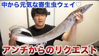 アンチに言われたので 