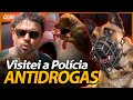 O CÃO FAREJADOR DA POLÍCIA, NÃO PASSA NADA! | PROFISSÃO ANIMAL