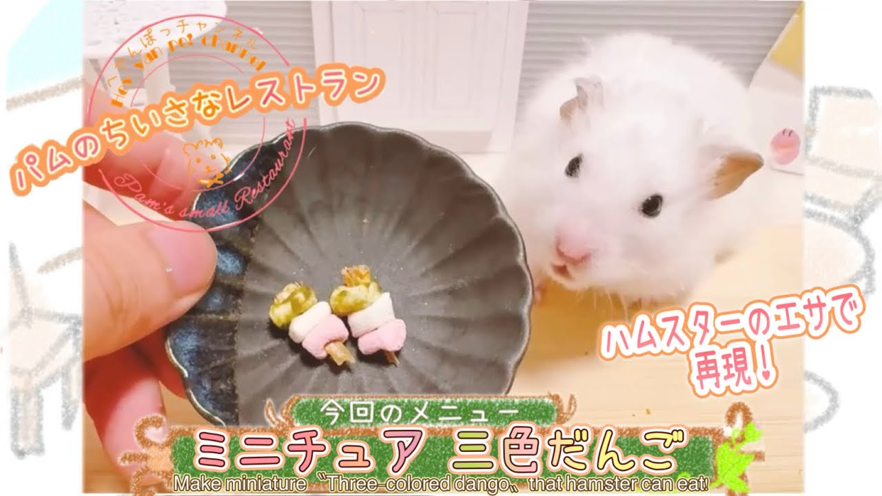 ハムスターにミニチュア「三色だんご」を作ってあげると可愛すぎた 