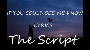 The Script - If You Could See Me Now (Lyrics)