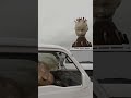 頭ちゃんと頭君