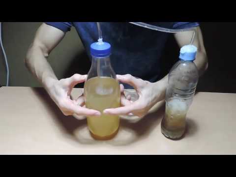 ღვინისგან შამპანიური და პიტნის ჩაისგან ლიმონათი — სასმელის დაგაზვა