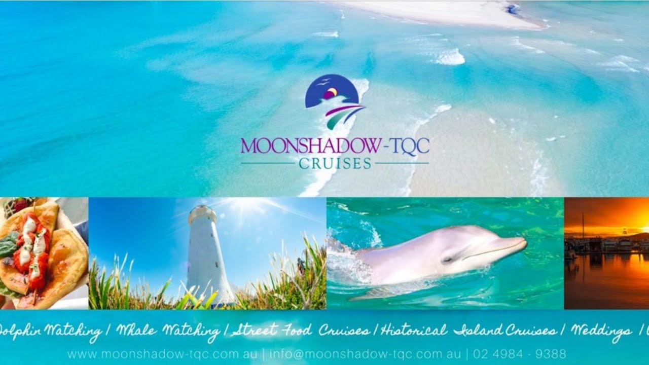 moonshadow dolphin cruises