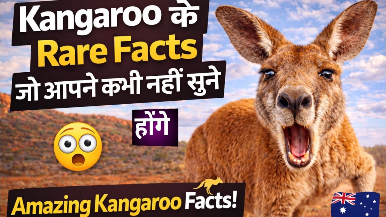 Kangaroo के 10 Rare Facts जो आपने कभी नहीं सुने होंगे 🦘। Amazing Kangaroo Facts। 