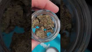 0075 SERG CANNABIS INDOOR FLOWER STRAIN🤯🤯🤯🤯🤯