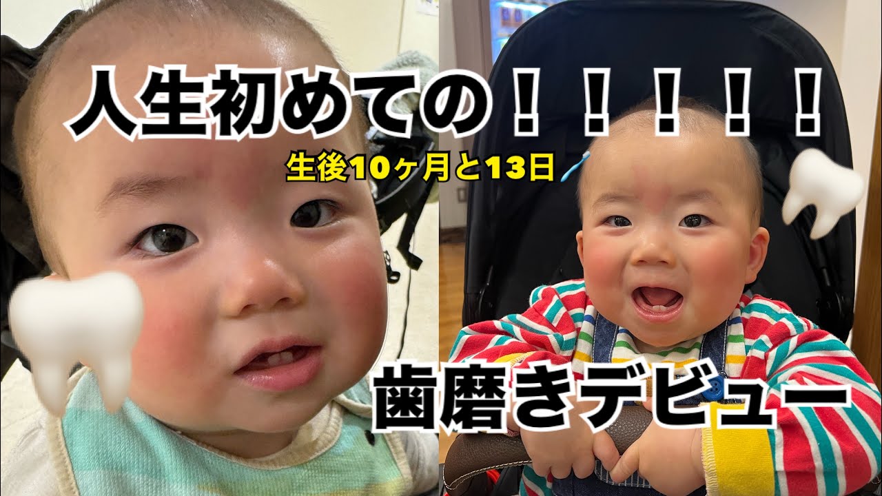 【歯磨きデビュー🦷🪥】#歯磨き#歯磨きデビュー#育児記録 