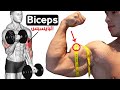 How To Build Your biceps workout Fast (7 Effective Exercises)