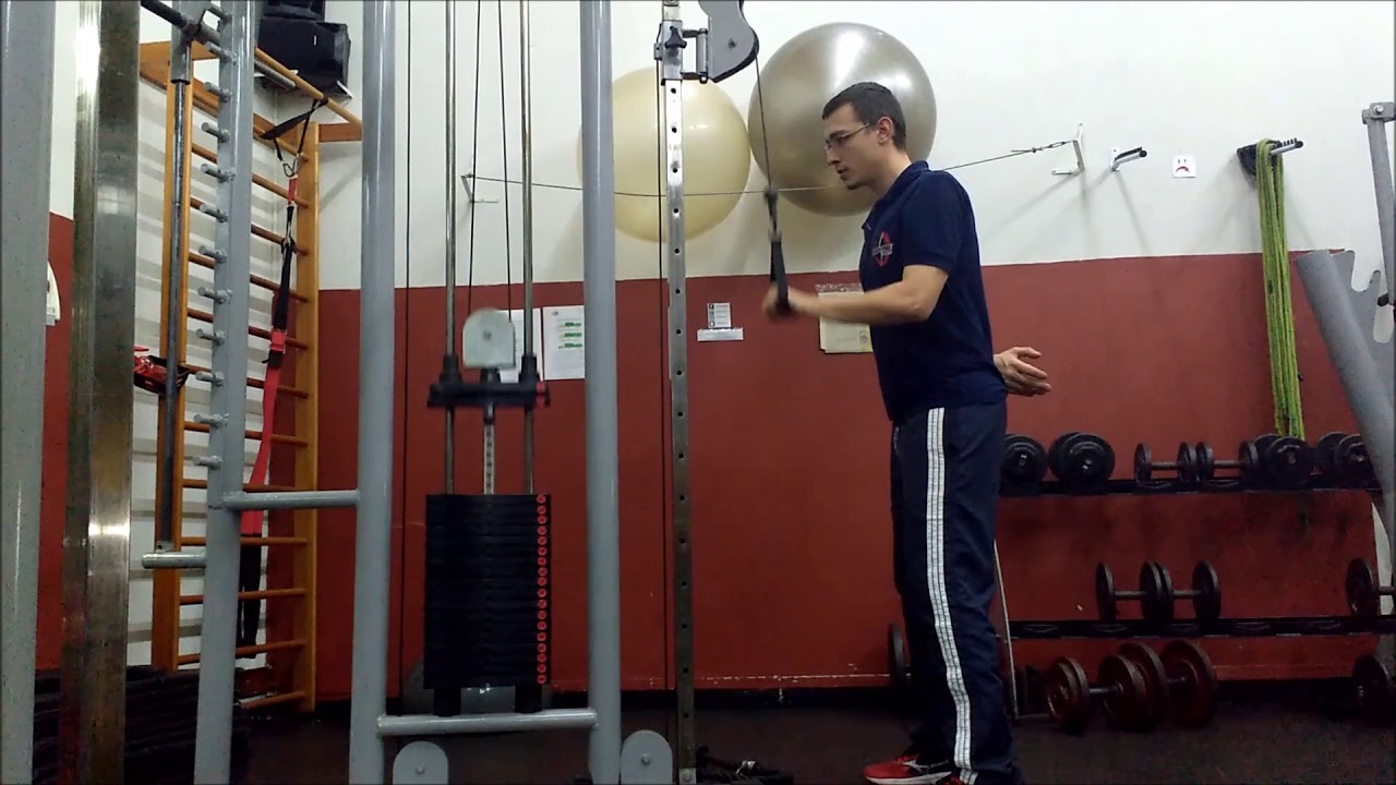 Triceps pulley estribo pronado YouTube