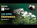Carl Bohm : Edelweiss , Op. 279 No.1