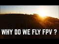 Why do we fly FPV ?