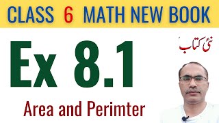 6Th Class Math Exercise 8.1 || 6Th Class Math New Book 2023 || SNC 2023-24