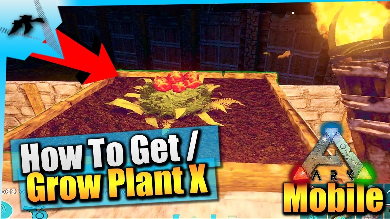 Ark Survival Evolved Mobile| How To Get/Grow Plant Species Total Beginners - YouTube