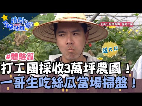 打工團採收3萬坪農園！一哥生吃絲瓜界「黑鮪魚」狂嗑當場掃盤！【請問 今晚住誰家】體驗篇 20230628 EP773 Part1 王傳一 陳漢典