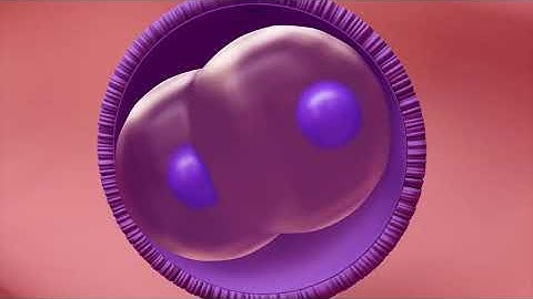 How Fertilization happens | 3D Animation