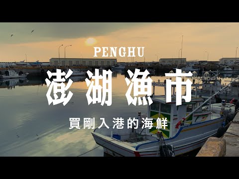 向船長買魚📸實況旅遊｜Online Tour in "Penghu"｜澎湖鎖港漁港‧秘密漁市🚶‍♀️一個女子的旅行👈MOOK玩什麼