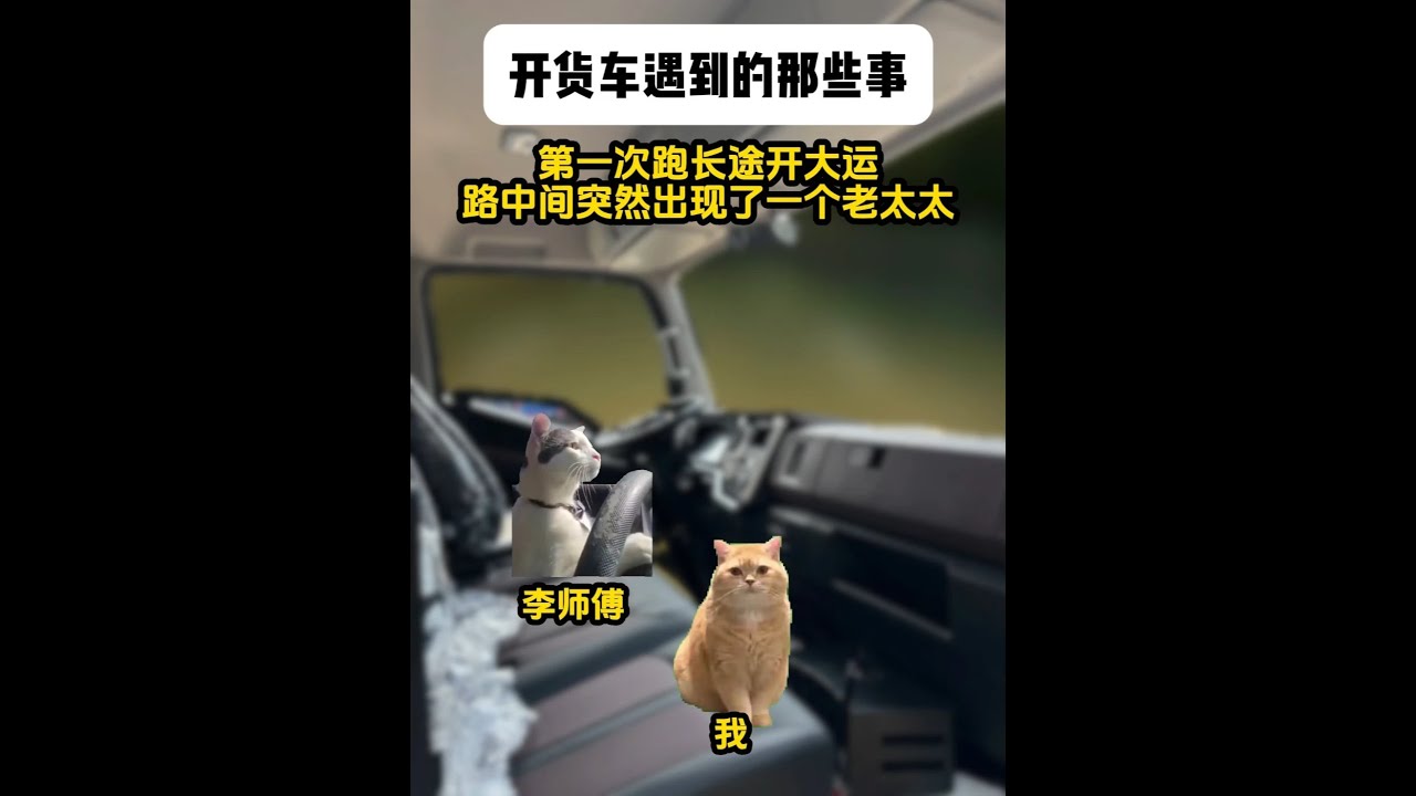 《北野货车》合集 含恐怖元素，请谨慎观看#猫meme #猫meme小剧场