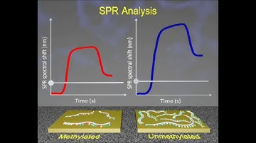 SPR biosensing for epigenetic biomarker