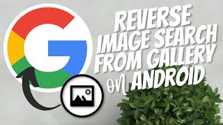 How to reverse search an image from Gallery screenshot 5