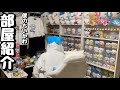 【ルームツアー】綺麗に見えて、実は散らかってる僕のちいかわオタ部屋紹介♪♪マスコット収納方法/ぬいぐるみ/アクスタ/プライズ
