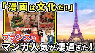 【海外の反応】フランス人「マンガは既に文化だ！」 仏政府が若者に配布したクーポンの殆どが日本の漫画に使われていた！