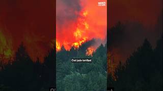 #incendie : Pas un MOT pour EUX. Je vais suivre ça de près, n'hésitez pas à me suivre #canicule