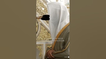 مقتطف من تلاوة فضيلة الشيخ #محمد_برهجي من فجر 16 ربيع الآخر 1447هـ