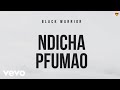 Black Warrior - Ndichapfumao (Official Audio)