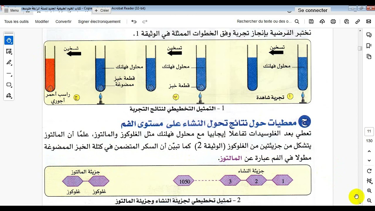 مراجعة شاملة لدرس تحولات الأغذية خلال الهضم
