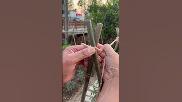 Farmers Love This Knot – It Works Great!