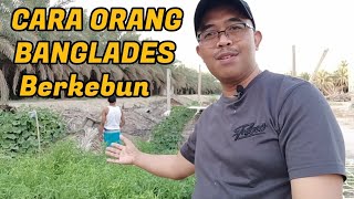 RAJIN ORANG BANGLADES BERKEBUN DI BELAKANG PABRIK