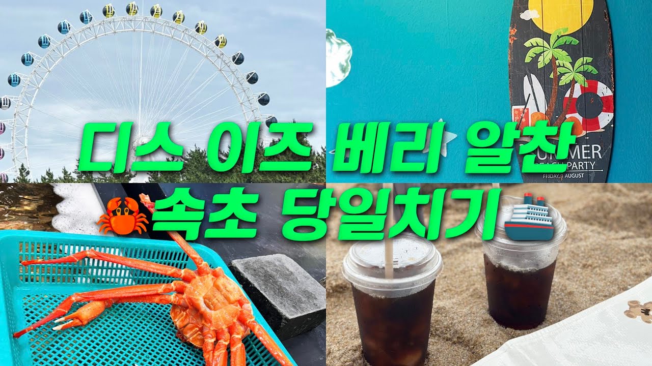 금요일 연차 내고 속초 당일치기 여행 뿌시기 😎🦀🥽 ★이거시 바로 진정한 리프레시★ 속초중앙시장, 홍게, 속초아이대관람차, 속초해수욕장, 카페보사노바, 외옹치둘레길, 탑골막국수