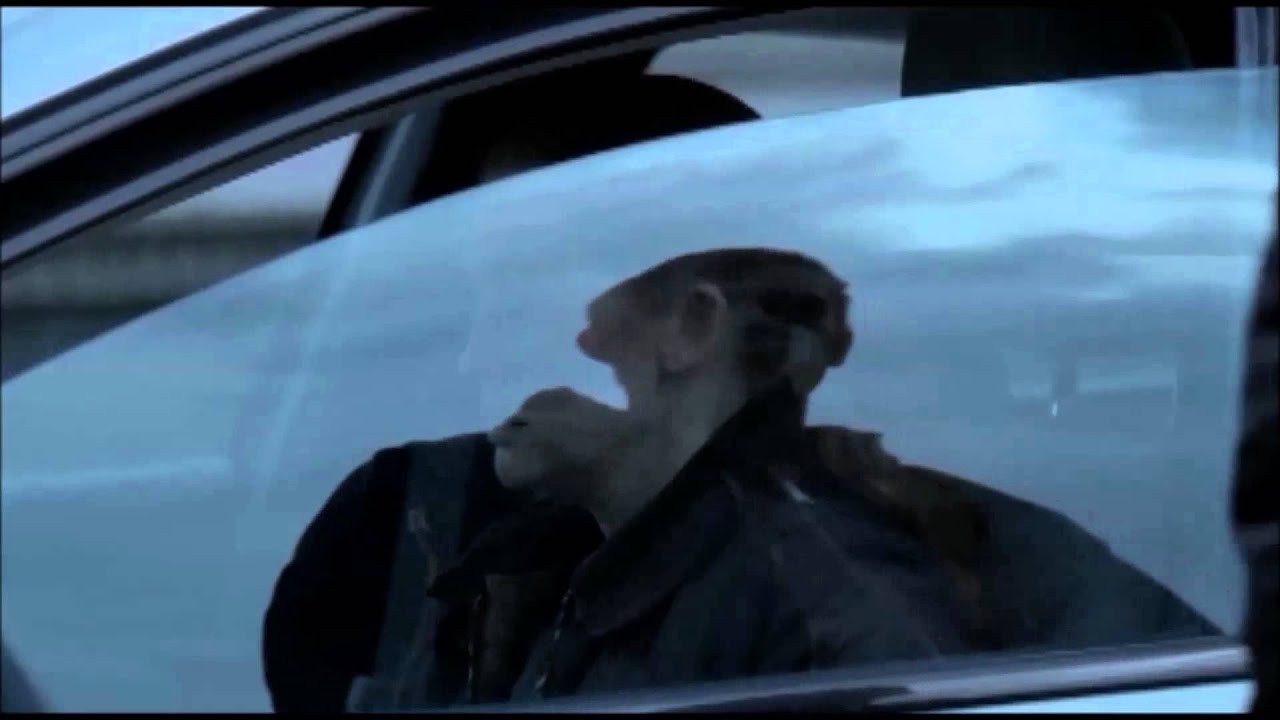 'Stay' Linden & Holder, A Music Video Compilation 'The Killing