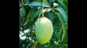 my first vlog ♥️ #shorts #shortsvideo my first vlog 2023 #youtubeshorts #ytshorts #shortvideo #vlog