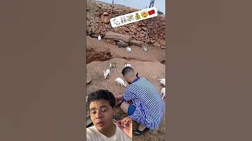 عنده اكتر من 100أرنب في منزله عمل مشروع مشروع مربح تربية أرنب 