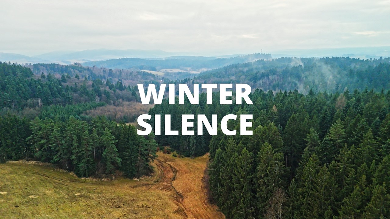 Lačnov Rocks in Winter Fog - Vizovice Highlands 4K | Winter Silence