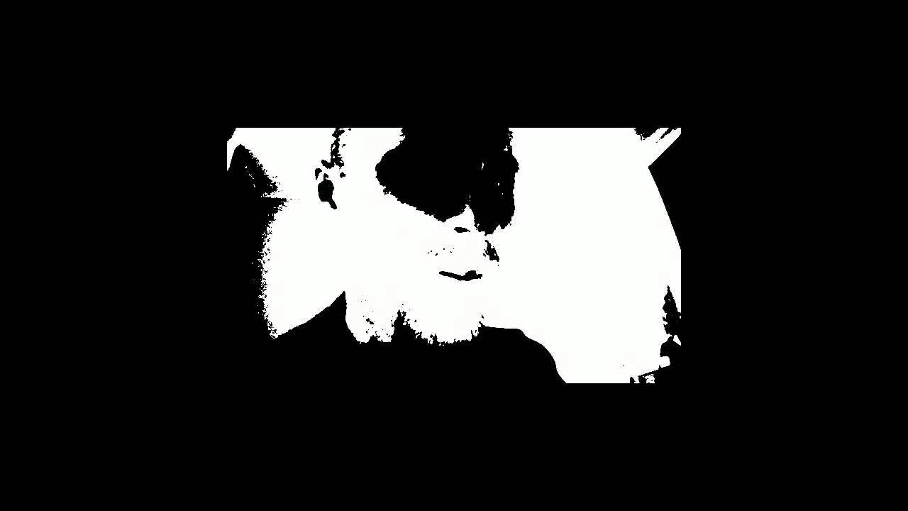 Flies in the YouTube Vaseline