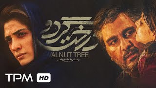 سکانس برتر فیلم جدید درخت گردو (کیفیت 1080) - Film Irani Walnut Tree