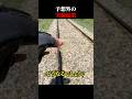 予想外の実験結果