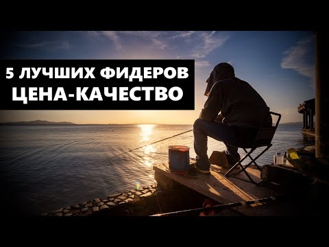 5 ЛУЧШИХ ФИДЕРОВ