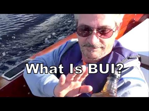 What Is Bui Youtube