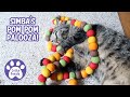 Simba's Pom Pom Palooza! * S4 E16 * Cat Playing With Toys