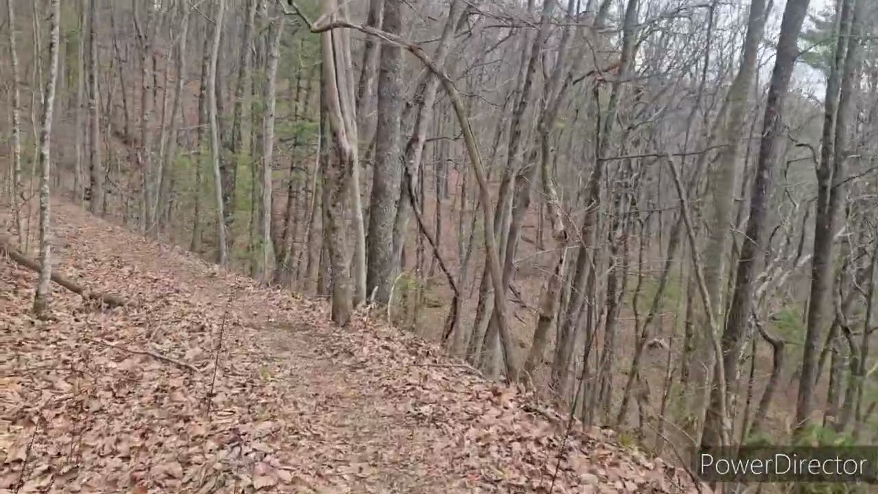 6. Low Gap Shelter to Unicoi Gap