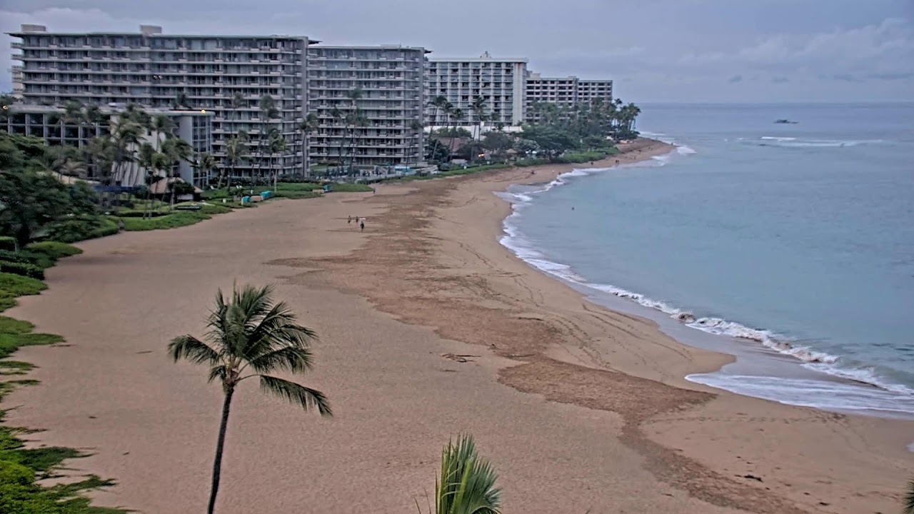 Live camera view of Maui - Ozolio Plus in Maui, United States