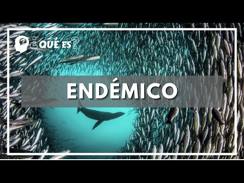 Video: ¿Qué significa endémicamente?