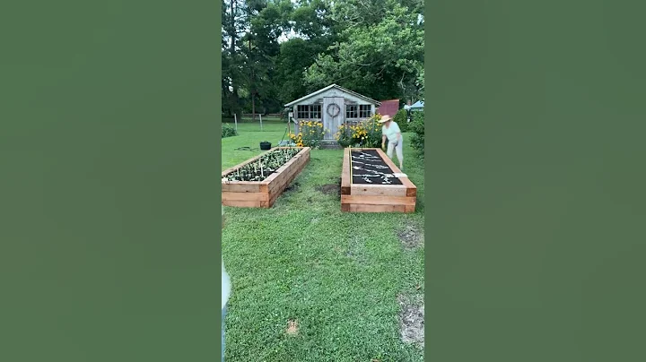 Planting a cutting garden with my sis